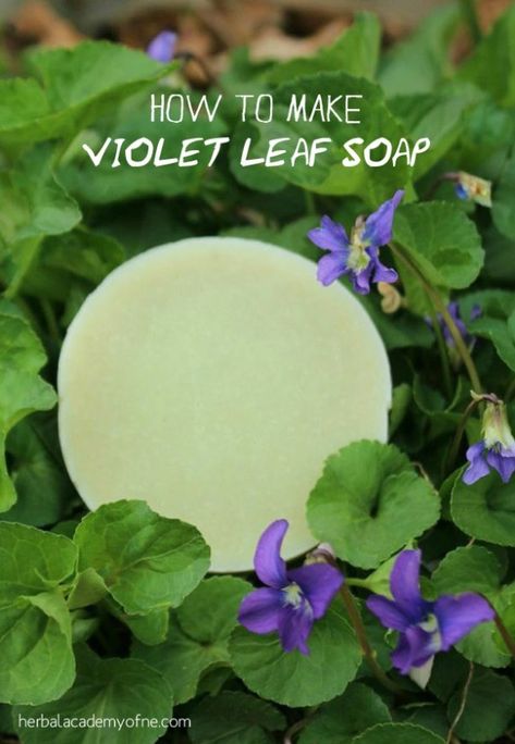 Violet Leaf Soap Recipe – Herbal Academy Natural Soap Making Recipes, Herbal Academy, Savon Diy, Herbal Soap, Soap Making Recipes, Herbal Recipes, Soap Recipe, Soap Making Supplies, Homemade Soap Recipes