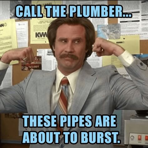 Better than Flushed Away (2006) #plumber #plumbing #plumbermemes #memes #plumbingmemes Funny Plumber Memes, Plumbing Memes, Plumber Humor, Funniest Memes, Want You, Plumbing, Paradise, Funny Quotes, Funny Memes