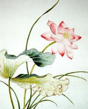 Lotus Flower Art, Lotus Painting, Red Lotus, Hand Embroidery Kits, Chinese Brush Painting, Art Japonais, Chinese Painting, Natural Silk, Silk Painting