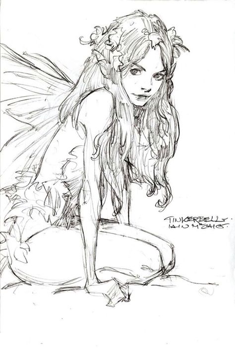 Fairy... Iain Mccaig, Kunst Inspo, Creaturi Mitice, Fairy Drawings, صفحات التلوين, Fairy Crafts, 캐릭터 드로잉, Art Characters, Arte Fantasy