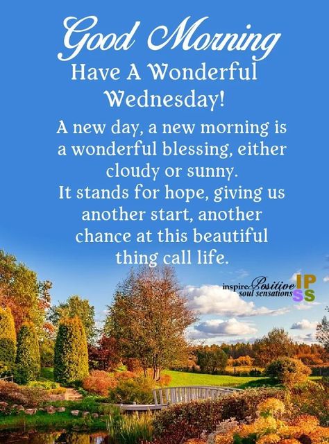 Dear Friend Quotes, Hello May Quotes, Wednesday Morning Greetings, Daily Morning Prayer, Wednesday Morning Quotes, Good Morning Animals, Good Wednesday, Good Morning Wednesday, Good Morning Greeting Cards