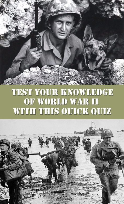 Whether your interest in World War II is just casual, or you consider yourself a true history buff, this short ten-question quiz will help you determine exactly where you stand. Some of the war’s most important people and places are touched on here, so take a few moments to see how you measure up… History Quiz Questions, World Quiz, Ww1 History, History Questions, History Quiz, Movie Quiz, Ww2 History, Class Games, Trivia Quizzes