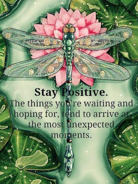 Dragonfly Symbolism, Dragonfly Quotes, Dragonfly Artwork, Dragonfly Art, Stay Positive, Search Engines, Happy Thoughts, Inspiring Quotes About Life, Water Lilies