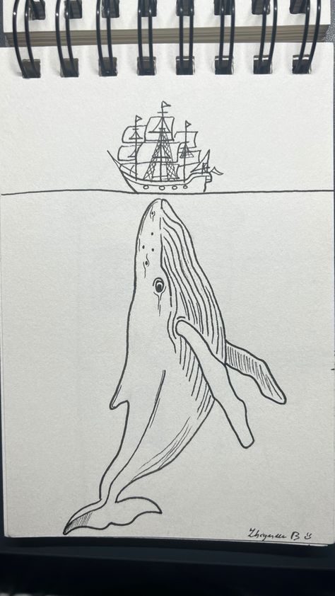 Underwater Creatures Drawing, Underwater Animals Drawing, Whales Drawing, Big Drawings, Pirate Ship Drawing, Whale Sketch, Underwater Drawing, Shrunken Heads, Whale Drawing