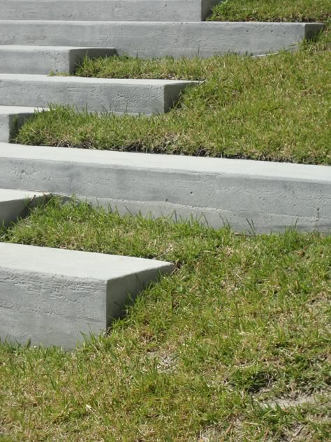 Stairs In Landscape, Concrete Stairs Outdoor, Precast Concrete Steps, Terrace Steps, Evergreen Landscape Front Yard, Concrete Sleepers, Evergreen Landscape, Landscape Stairs, Landscape Steps