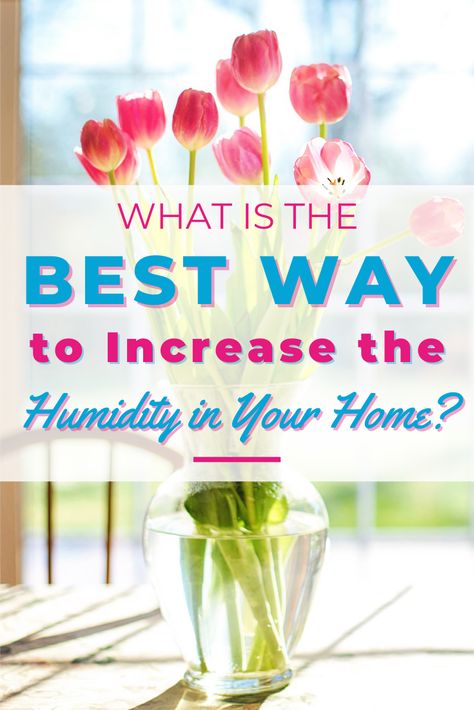 Knowing how to increase the humidity in your home can be tough. Not everyone wants a humidifier to spike their energy bills. These are 10 ways to raise the humidity in your home without breaking the bank. Air Humidifier, Energy Bill, Diy Arts And Crafts, The Bank, Home Remedies, Dry Skin, Diy Art, Home Projects, Indoor Plants