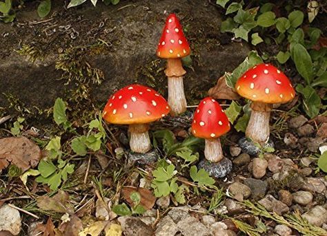 Mushroom Garden Art, Ladder Plant Stand, Real Mushrooms, Toadstool Mushroom, Mushroom Garden, Wood Plant Stand, Hippie Decor, Mushroom Decor, Garden Accents