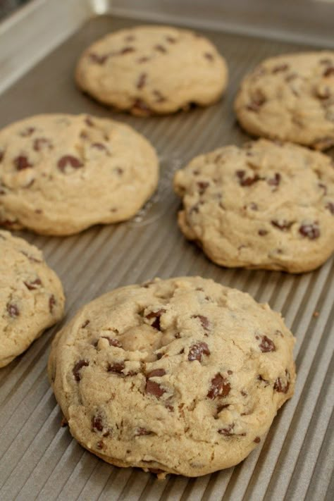 Miss Fields Chocolate Chip Cookie Recipe, Mrs Fields Chocolate Chip Cookies Recipe, Mrs Fields Cookie Recipe, Mrs Fields Chocolate Chip Cookies, Mrs Fields Cookies, Chicken Ravioli, Mrs Fields, Choc Chip Cookies, Chocolate Cookie Recipes