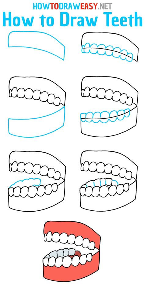 How to Draw Teeth Step by Step #Teeth #TeethDrawing #HowtoDrawTeeth #Drawings #HowtoDrawEasy #HowtoDrawEasyNet #Jaw #JawDrawing #DrawingJaw #EasyDrawings #SimpleDrawings #DrawingforKids How To Draw Teeth, Draw Teeth, Drawing Teeth, Tooth Drawing, Draw Anatomy, Drawing Mouth, Teeth Drawing, Angry Animals, False Teeth