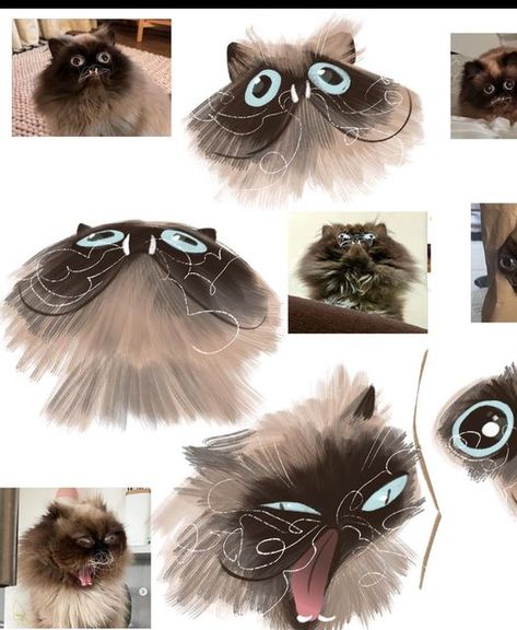 Kat Hudson 💖✨💖 on Instagram: "@yohjikattamoto is a real life gremlin. Had to doodle. #catsofinstagram #petportrait #characterdesign #digitalstudy" Gremlin Pose, Cat Expressions, Fluffy Cat, Gremlins, Cats Of Instagram, Pose Reference, Pet Portraits, Real Life, Doodles