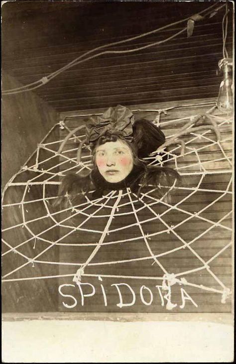 Spidora illusion show. Dark Carnival, Haunted Carnival, Vintage Spooky, Antique Halloween, Creepy Carnival, Circus Sideshow, Halloween Circus, Dark Circus, Spider Woman