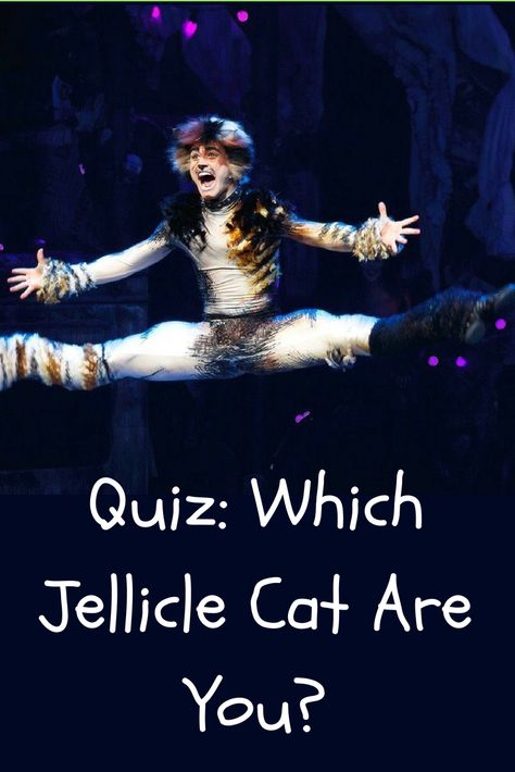 Cats The Musical Tattoo, Cats The Musical Aesthetic, Cats The Musical Wallpaper, Cats Musical Costume, Cats Musical Fanart, Cats The Musical Costume, Musical Quiz, Cats Movie, Cats The Musical