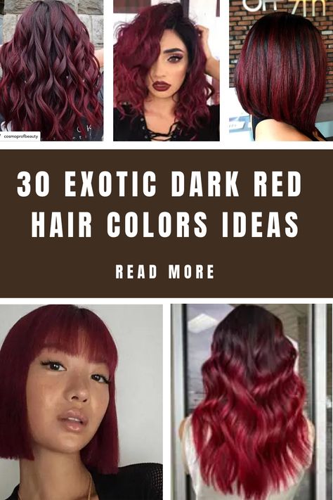 Dark red hair has a unique sensual allure and is super-fanciful. Therefore, if you ask us if dark red hair is appealing… Unique Professional Hair Color, Dark Vibrant Hair, Deep Red Hair Color, Red Hair Colors, Deep Red Hair, Hair Colors Ideas, Dark Red Hair Color, Red Hair Inspiration, Red Curly Hair