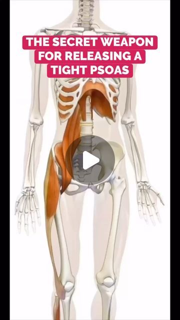 Conor Harris on Instagram: "This is the key to getting a Psoas to release long-term + one of my favorite exercises to accomplish that ✅ ——— #psoas #psoasstretch #psoasrelease #hipflexor #hipflexors #hipflexorstretch #hipflexorrelease #hipmobility #posture #posturecorrection" Hip Anatomy Reference, Psoas Stretch Release Yoga, Psoas Muscle Exercises, Psoas Strengthening Exercise, Supraspinatus Exercises, Psoas Release Trigger Points, Iliopsoas Stretch, Psoas Stretch Release, Glute Massage