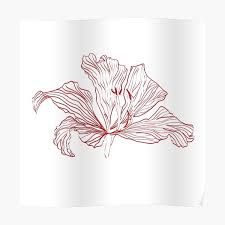 Hong Kong Bauhinia Flower (Red)" Poster by nicoleltwong | Redbubble Bauhinia Flower Tattoo, Bauhinia Tattoo, Bauhinia Flower, Hong Kong Tattoo, Red Poster, Flower Red, Art Tattoos, Flower Tattoo Designs, Forearm Tattoos