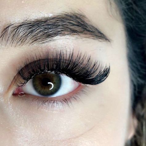 Best Eyelash Extensions, Lewisville Texas, Eyelash Extension Training, Extension Training, Lashes Extensions, Dental Laboratory, Artist Workshop, Volume Eyelash Extensions, Eyelash Extentions