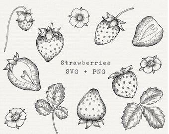 View Food & Cooking Clip Art by LaRoseArtStudios on Etsy Strawberry Drawing Simple, Labels Cricut, Drawn Strawberry, Strawberry Vector, Strawberry Svg, Insect Clipart, Strawberry Drawing, Strawberry Tattoo, Tiny Tats