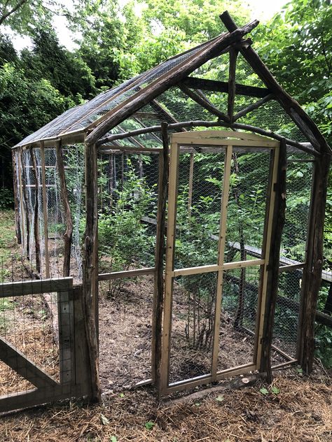 Berry Cage Garden, Blueberry Garden, Blueberry Patch, Blueberry Gardening, Blueberry Bush, Garden Cover, Fruit Cage, Colonial Garden, Berry Garden