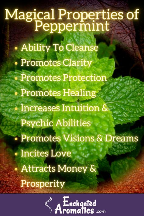 Peppermint Witchcraft Uses, Pumpkin Seeds Magical Properties, Peppermint Spiritual Uses, Peppermint Magical Properties, Spearmint Magical Properties, Mint Magical Properties, Frankincense Magical Properties, Skullcap Magical Properties, Magick Correspondences