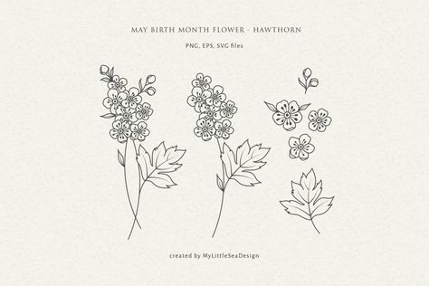 May Hawthorn Flower Tattoo, Hawthorne Flower Drawing, Hawthorn Flower Drawing, Hawthorn Flower Tattoo, Hawthorn Tattoo, Hawthorne Flower Tattoo, June Tattoo, Sis Tattoo, May Birth Flower Tattoo