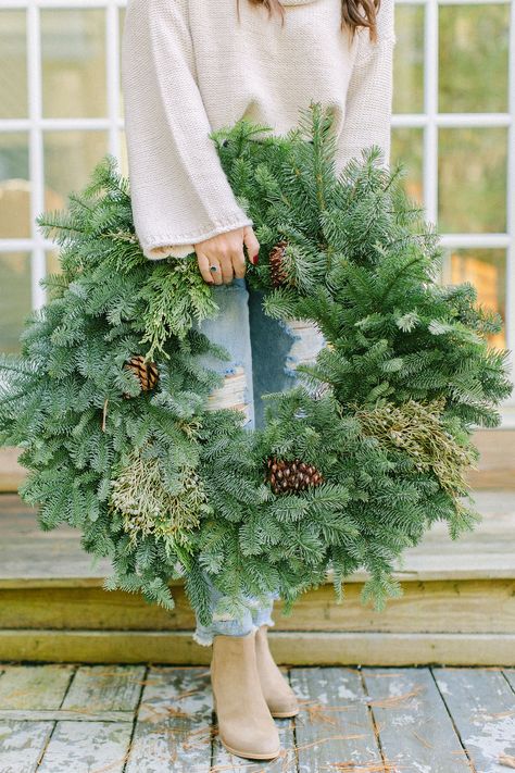 Prune Hydrangeas, Pruning Hydrangeas, Christmas Greens, Types Of Hydrangeas, Fall Hydrangea, Hydrangea Care, Growing Hydrangeas, Christmas Greenery, Mini Christmas