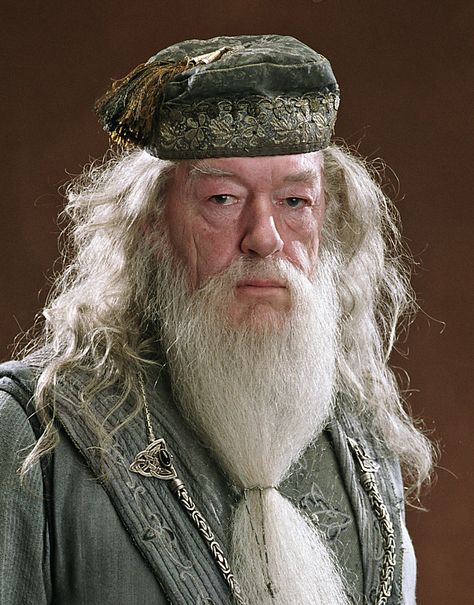 Latin influences in Harry Potter Dumbledore Bashing, Dumbledore Family, Beard Halloween Costumes, Harry Potter Professors, Harry Potter Dumbledore, Hulk Character, Michael Gambon, Harry Potter Film, Albus Dumbledore