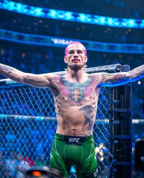 #SeanOmalley #UFC #UFCfighters #MMA #Sports #PFP #Wallpaper #Explore Sean O Malley Tattoo, Sean O Malley Wallpaper, Sean O Malley, Ufc Boxing, Boxing Images, Mma Boxing, Ufc Fighters, Combat Sports, Conor Mcgregor