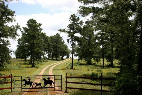 Living In The Country, Texas Land, Texas Farm, Buy Land, Down On The Farm, How To Buy Land, Land For Sale, Country Living, You've Been