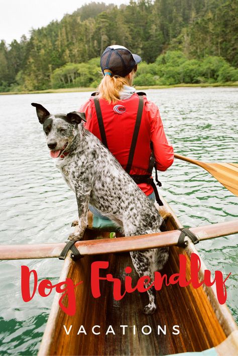 22 Places to Vacation with Your Dog Dog Friendly Vacation, Dog Friendly Hotels, California Camping, Running On The Beach, Hiking Dogs, Dog Adventure, Camping Checklist, Dog Travel, Dog Life