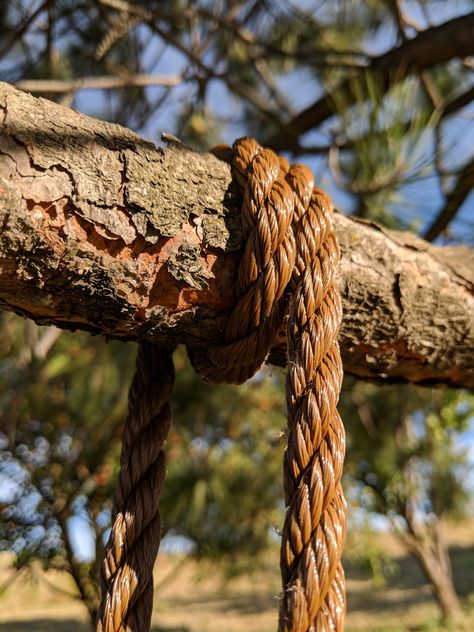 Rope Only Tree Swing | No Expensive Chain or Hardware Needed Tree Swings Diy, Wooded Yard, Tree Swings, Tree Rope, Kids Tree, Diy Swing, Diy Preschool, Tire Swing, Yard Landscape