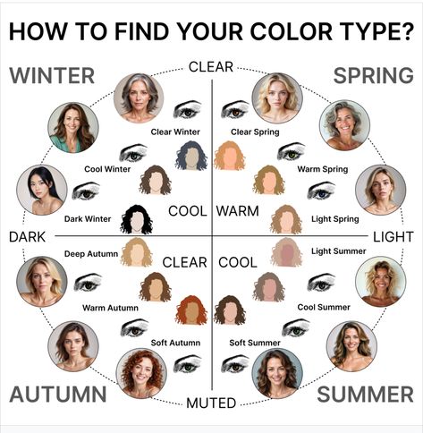 How To Know Your Color Season, Autumn Color Analysis, Soft Summer Colors, Clear Winter, Clear Spring, Deep Autumn, Seasonal Color Analysis, Colors For Skin Tone, Skin Color Palette