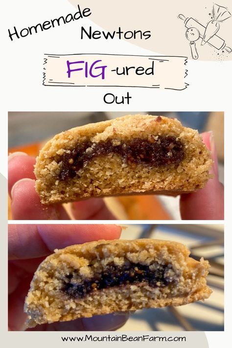 Step-by-step instructions (with pictures) to make melt-in-your-mouth fig newtons Homemade Fig Newtons, Fig Newtons, Silicone Baking Sheet, Fresh Figs, Snack Cake, Silicone Baking, Cheese Cloth, Baking Sheet, I Love Food