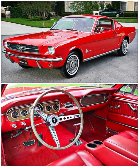 '65 Mustang Fastback | eBay 1970 Mustang Fastback, 57 Thunderbird, 65 Mustang Fastback, 64 Mustang, Mustang 65, Classic Mustangs, Cars Mustang, Ford Mustang Classic, Ford Mustang 1964