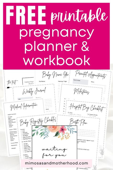 Pregnancy Journal Printable, Baby Journal Book, Pregnancy Tracking, Prenatal Appointment, Baby Planner, Pregnancy Checklist, Pregnancy Planner, Pregnancy Books, High Risk Pregnancy