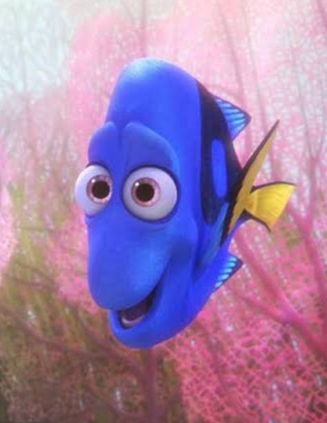 Nemo Dory, Smash Or Pass, Xbox Pc, Game Trailers, Finding Dory, Wallpapers Images, Lin Manuel, Movie Wallpapers, Cartoon Profile