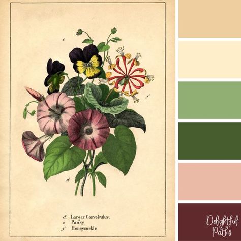 Vintage Inspired Color Palettes - Delightful Paths Vintage Eclectic Color Palette, Botanical Colour Palette, 1950 Color Palette, Honeysuckle Color Palette, Victorian Pallet Color Palettes, Vintage Illustration Color Palette, 1900 Color Palette, Morning Glory Color Palette, Botanical Color Palette