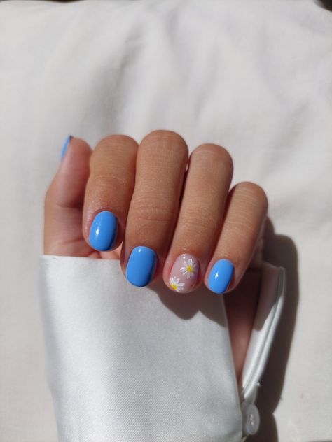 Short nails inspiration Short Gel Nails, Blue Nail Designs, Shellac Nails, Summer Nails Colors, Gel Nail Designs, Makeup Geek, Blue Nails, Gel Nail, Short Nails