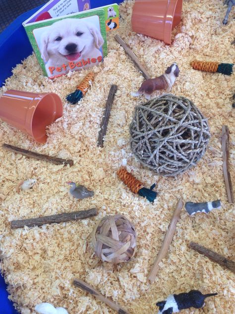 Pets Small World Paws Claws And Whiskers Topic, Pets Eyfs, Investigation Table, Reggio Inspired Classrooms, People Who Help Us, Reggio Inspired, Invitation To Play, Theme Activity, Paws And Claws