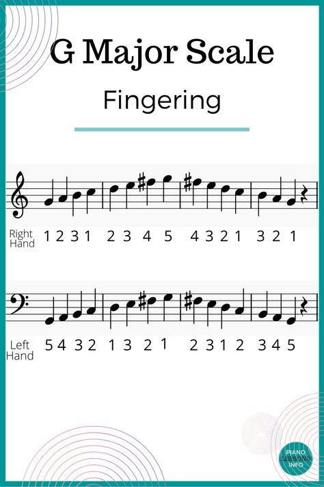 G major scale piano fingering for right hand and left hand. G scale fingering treble clef. G scale fingering bass clef. G Major Scale, Piano Scales Chart, Piano Letters Songs, Learn Piano Notes, Piano Scales, Piano Songs For Beginners, Music Theory Piano, Piano Sheet Music Letters, Kids Piano