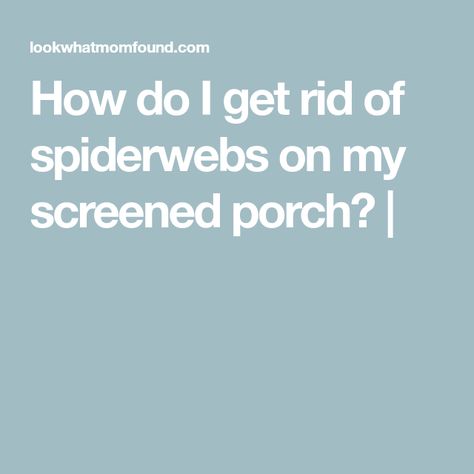 How do I get rid of spiderwebs on my screened porch? | Spider Killer, Spiders Repellent, Get Rid Of Spiders, Large Spiders, Daily Life Hacks, Screen Enclosures, Porch Flooring, Deck Boards, Spider Webs