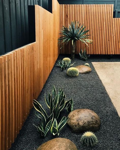 Timber screening paired with black stones make this cactus garden pop. #cactus #garden... Diy Crate, Crate Furniture, Patio Diy, Lobby Design, Outdoor Diy, Garden Landscape Design, Design Hotel, Cactus Garden, Front Yard Landscaping Design