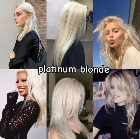 Pure Diamond Blonde Hair, Blond Shades, Hair Captions, Different Shades Of Blonde, Blonde Hair Goals, Blonde Hair Transformations, Hair Tint, Brunette Hair With Highlights, Platinum Hair