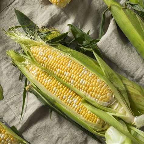 We Tested 7 Ways to Cook Corn on the Cob (Yes, Even in an Air Fryer) Cooking Sweet Corn, Corn In The Oven, Oven Roasted Corn, Cook Corn, Spicy Corn, How To Cook Corn, Peaches And Cream, Roasted Corn, Corn On Cob