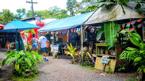 Best Places to Shop for Maui Souvenirs | Top 10 Maui Gift Shops Maui Whalers Village, Front Street Lahaina, Maui Hawaii Honeymoon, Hana Highway, Maui Hawaii Vacation, Lahaina Maui, Best Places To Shop, Trip To Maui, Maui Travel