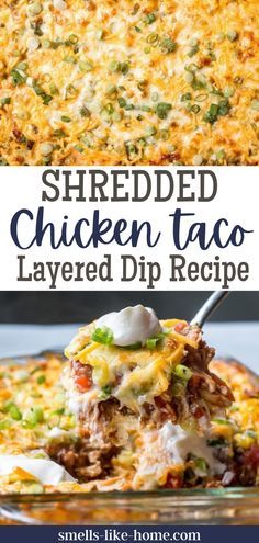 Shredded Chicken Dips Recipes, Mexican Chicken Appetizers, Shredded Chicken Appetizers Easy, Dips With Chicken In It, Chicken Taco Appetizers, Dips With Shredded Chicken, Dip With Shredded Chicken, Cinco De Mayo Meals, Taco Potluck Ideas