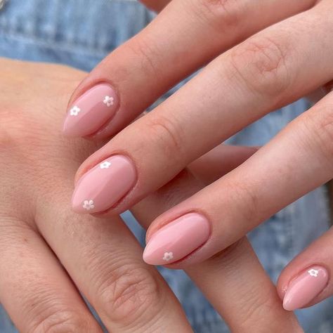 KARIN • NAIL ARTIST on Instagram: "🌸 ⁣ ⁣ Base: @luminary_nail_systems ⁣ ⁣ Colors: @dndgel ⁣ - candy kisses 883 (base color) - white chalk 056 - pink strive 269 ⁣  ⁣ ⁣ #dndgel #dndgelpartner #dndgelpolish #pinknails #flowernails #dndgelcolors #structuredgel #naildiy #daintynails #minimalnails #summernails #naturalnailscheck #naturalnails #nailartist #handpaintednailart #drymanicure #nailinspiration #boycottboringnails" Dainty Flower Nails, Acrylic Claws, Dnd Nails, Luminary Nails, Nails Rosa, Pale Pink Nails, Baby Pink Nails, Dnd Gel Polish, Solid Color Nails