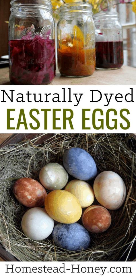 Open up your fridge and pantry and naturally dye your Easter eggs. Make beautifully colored eggs with food items you already have at home! #easter #eastereggs #naturaldye Dyed Easter Eggs, Naturally Dyed Easter Eggs, Easter Egg Dye, Plastic Easter Eggs, Easter Basket Diy, Backyard Farming, Easter Dinner, Coloring Eggs, Easter Activities