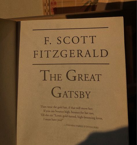 Great Gatsby Book Aesthetic, The Great Gatsby Book Aesthetic, Field Party Series, Lancaster Prep, The Great Gatsby Book, Field Party, She And Her Cat, Gatsby Book, Parisian Life