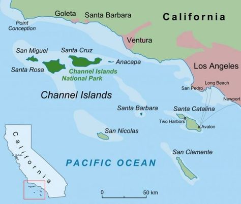 The True Story Behind Island of the Blue Dolphins – A Single Isolated Tribal Woman Island Of The Blue Dolphins, Channel Islands California, Ventura Beach, Kat Diy, Santa Catalina Island, State Of California, Channel Islands National Park, California Missions, San Nicolas