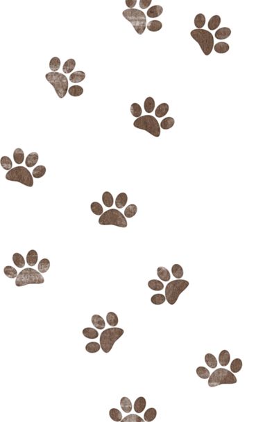 KAagard Fur Babies Puppy Dogs — Yandex Disk Baby Boy Background, Puppy Clipart, Male Cat, Bling Wallpaper, Baby Puppies, Puppy Dogs, Yandex Disk, Fur Babies, Dogs And Puppies